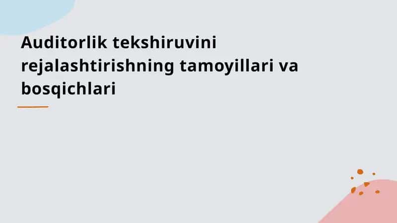Auditorlik tekshiruvi-nirejalashtirishning tamoyillari va bosqichlari