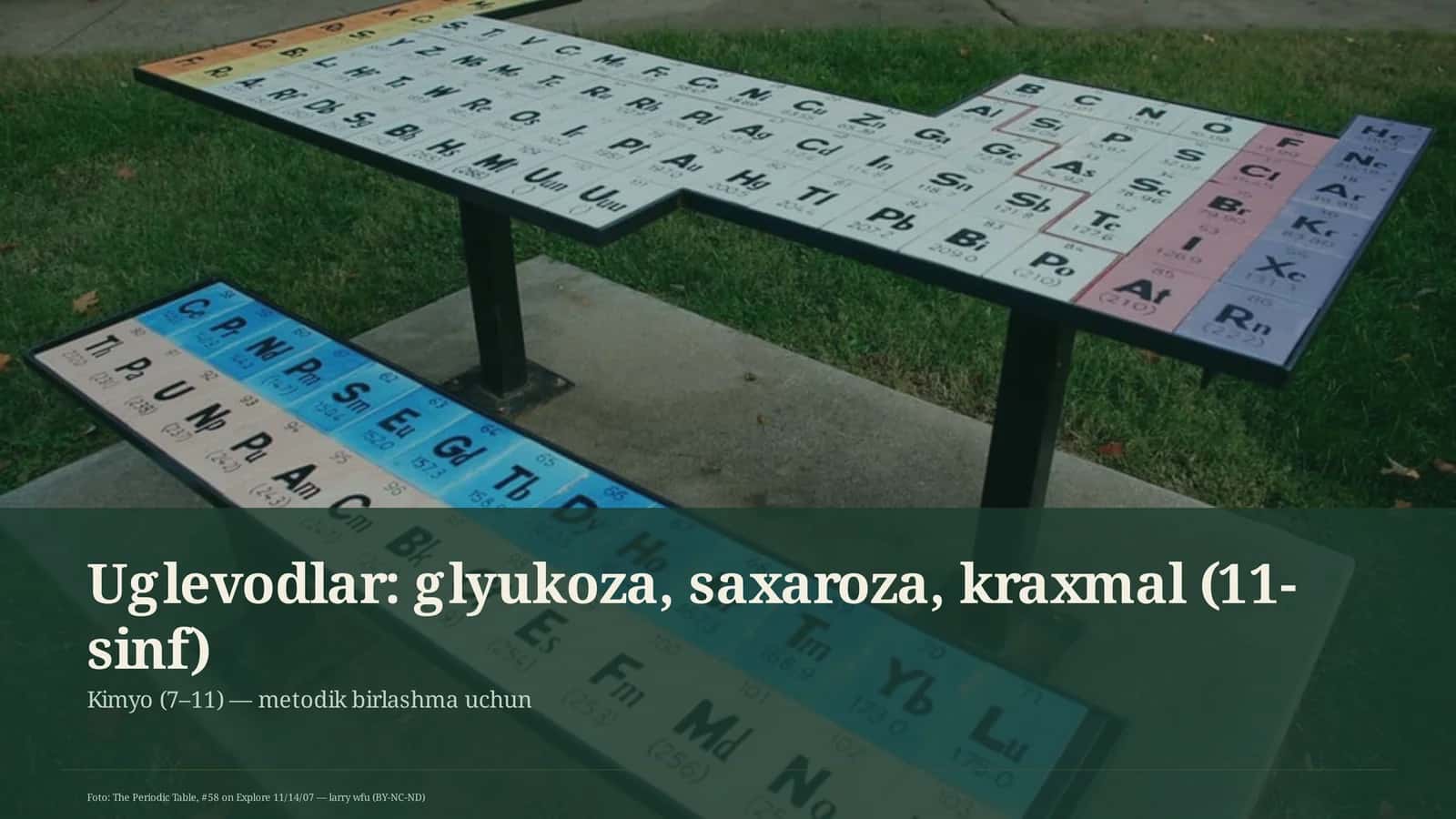 Uglevodlar: glyukoza, saxaroza, kraxmal (11-sinf)