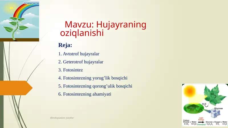 Hujayraning oziqlanishi