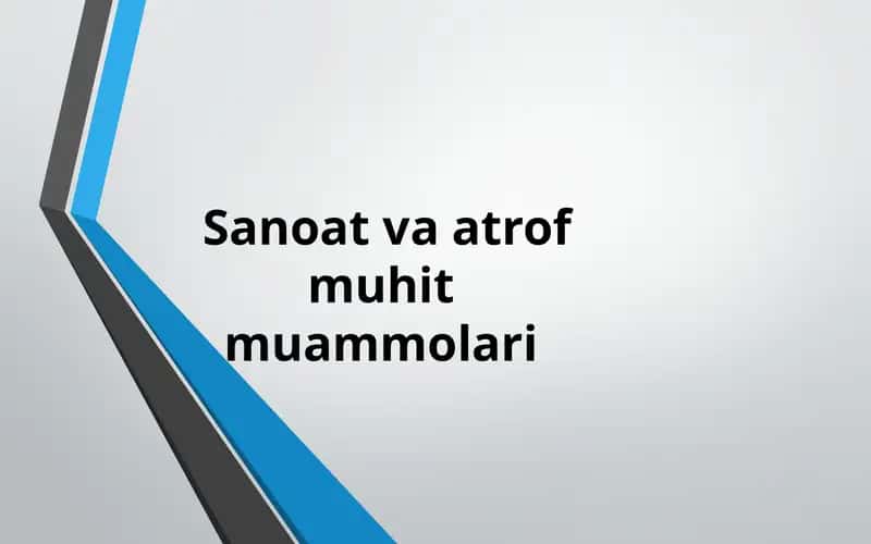 Sanoatvaatrofmuhitmuammolari