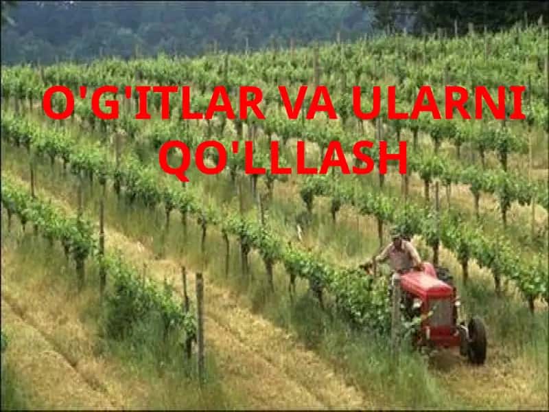 O'G'ITLAR VA ULARNI QO'LLLASH