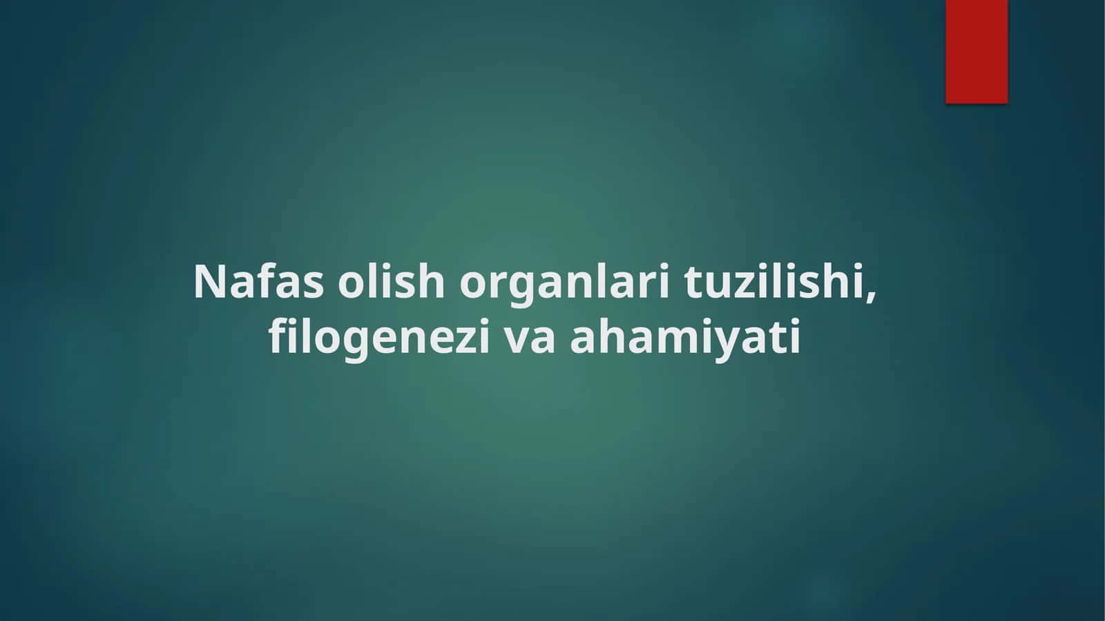 Nafas olish organlari tuzilishi, filogenezi va ahamiyati