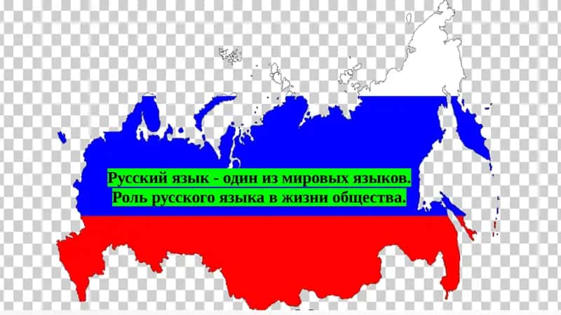 Русский язык - один из мировых языков. Роль русского языка в жизни общества.