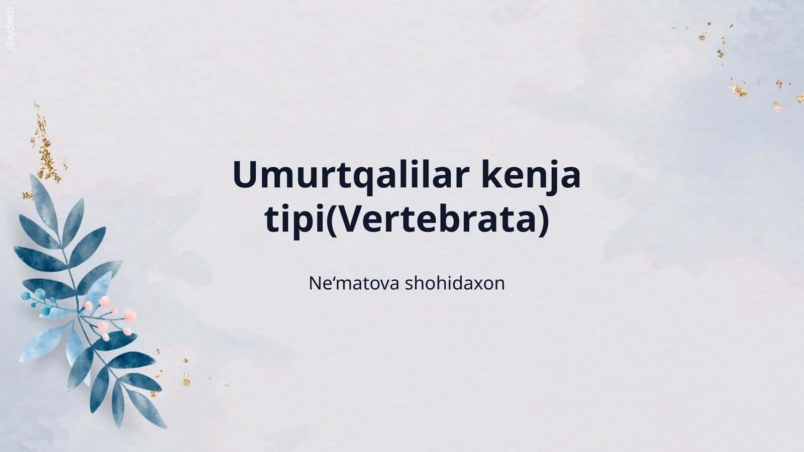 Umurtqalilar kenja tipi(Vertebrata)