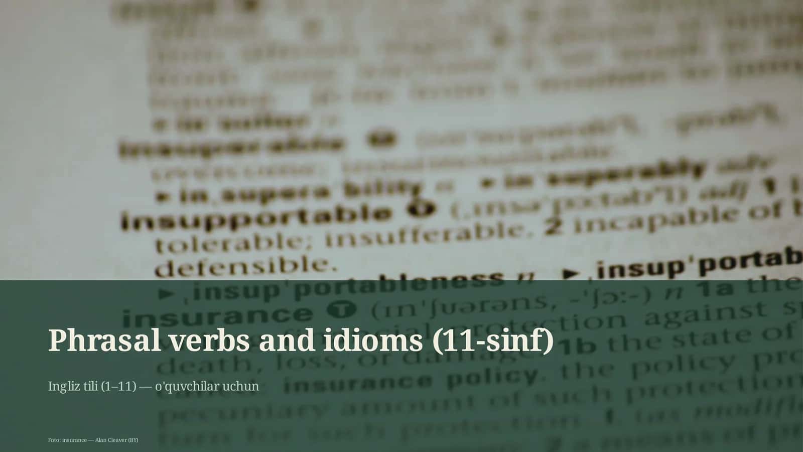 Phrasal verbs and idioms (11-sinf)