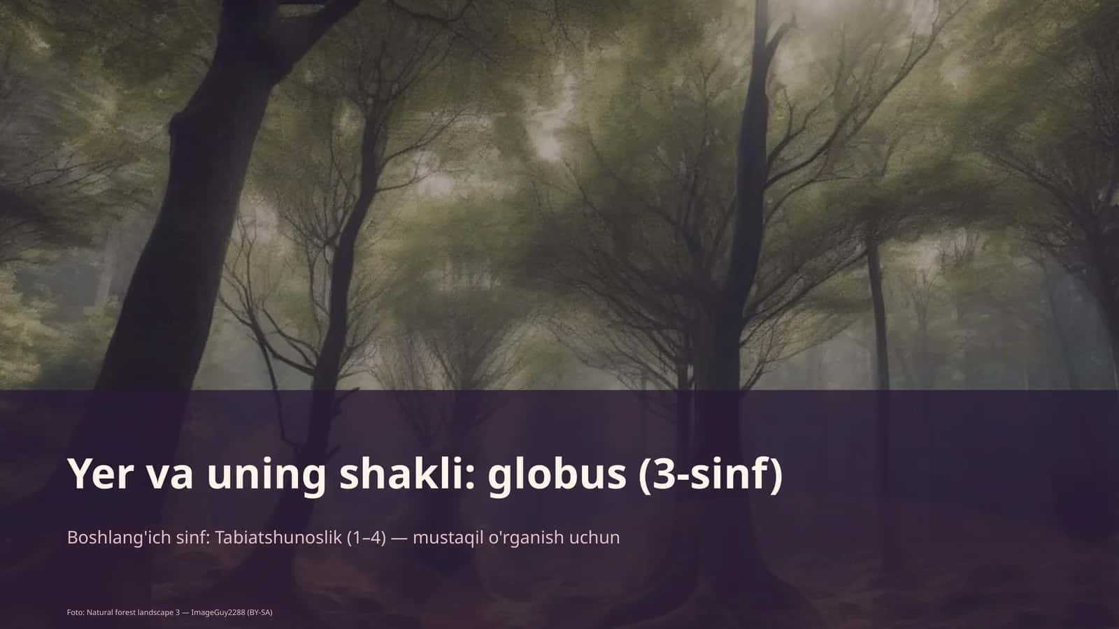 Globus (3-sinf)