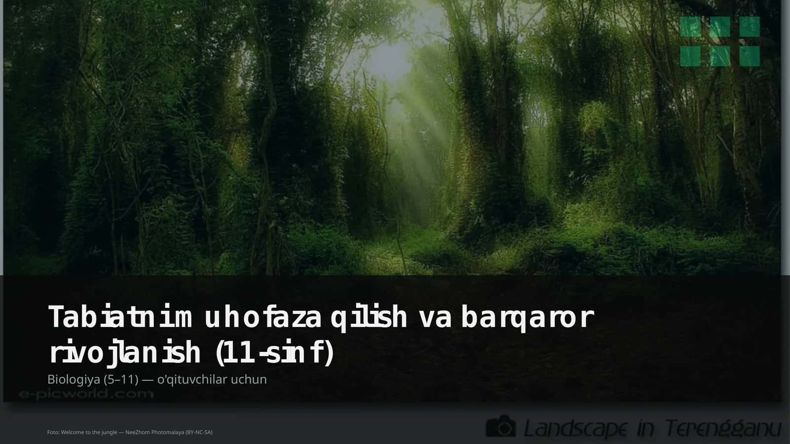 Tabiatni muhofaza qilish va barqaror rivojlanish (11-sinf)