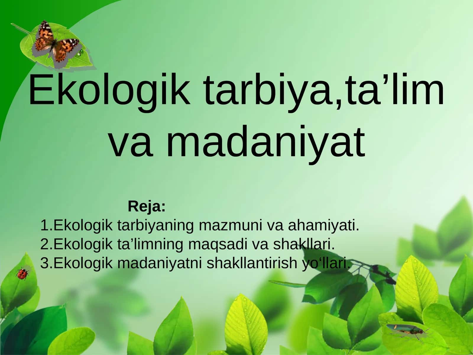 Ekologik tarbiya,ta’lim va madaniyat