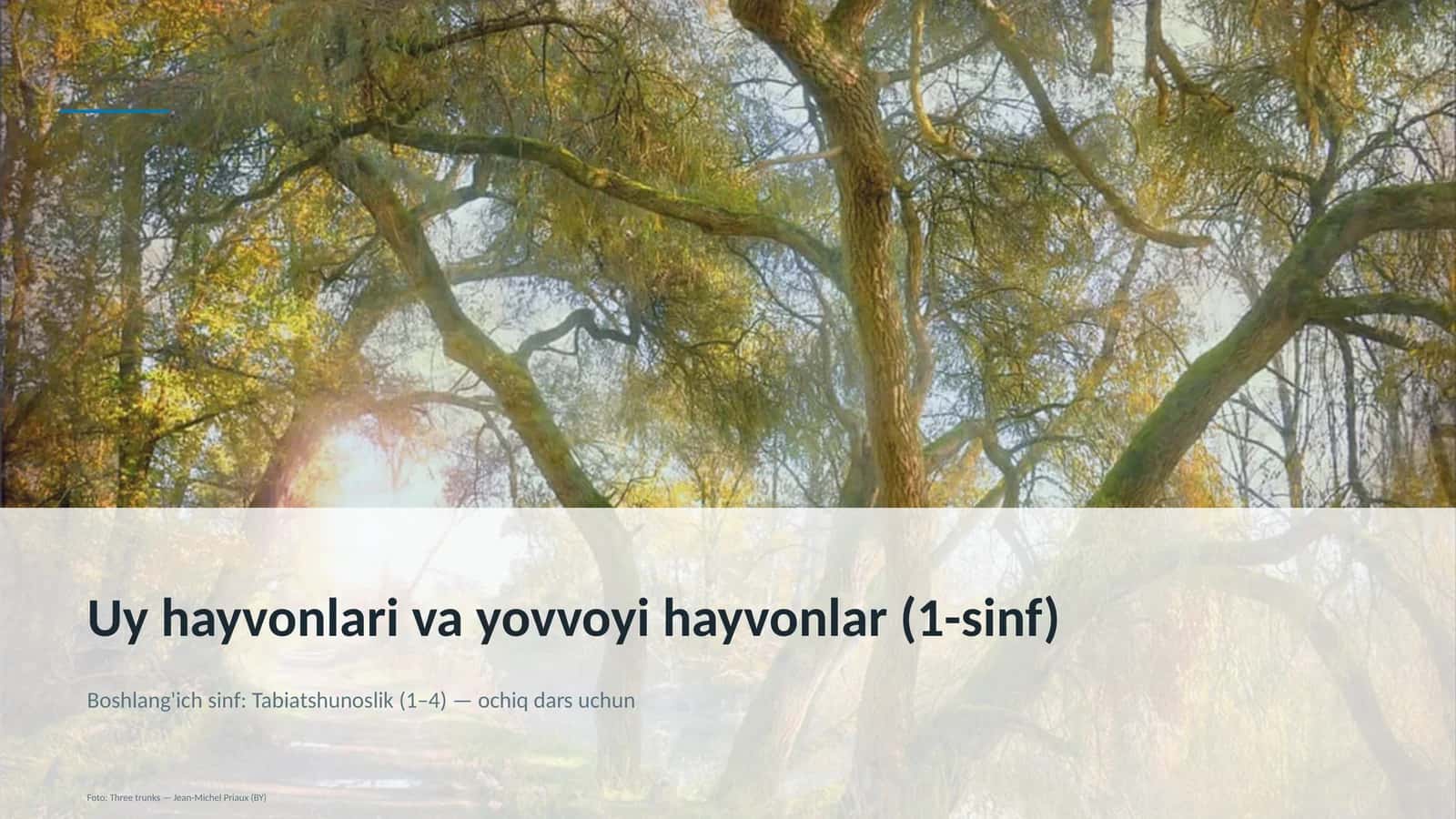 Uy hayvonlari va yovvoyi hayvonlar (1-sinf) Boshlang'ich sinf: Tabiatshunoslik (1– 4) — ochiq dars uchun