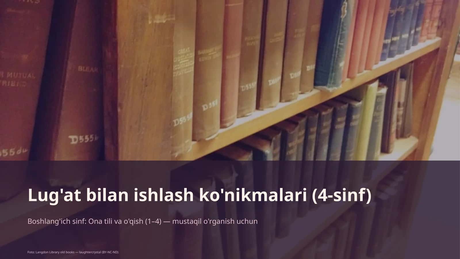 Lug'at bilan ishlash ko'nikmalari (4-sinf)
