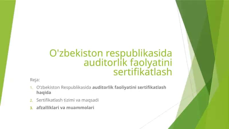 Auditorlik faoliyati