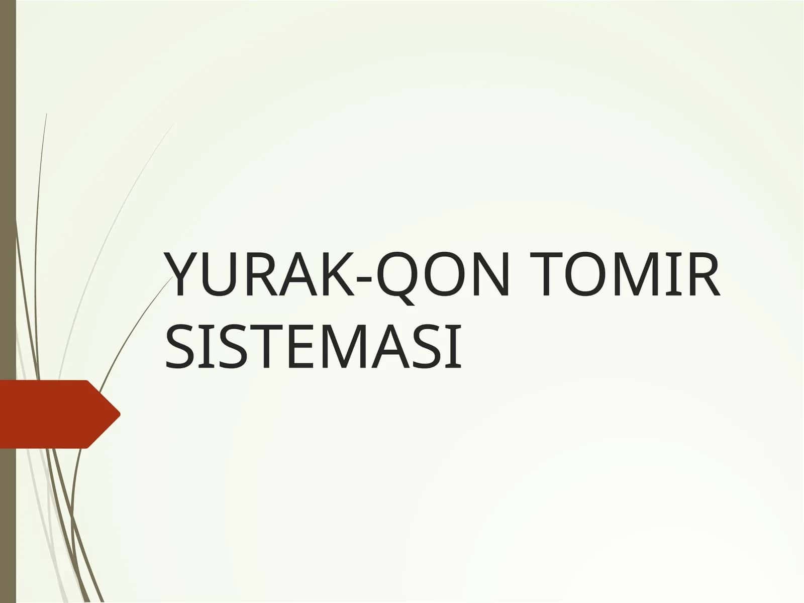 Prezentatsiya 1