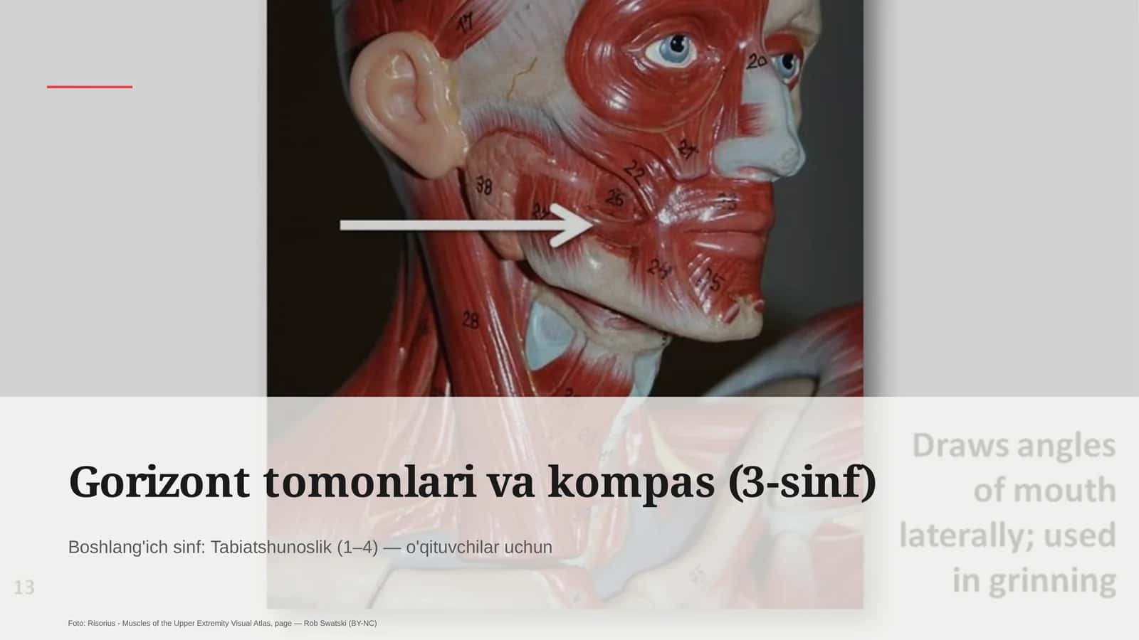 Gorizont tomonlari va kompas (3-sinf)