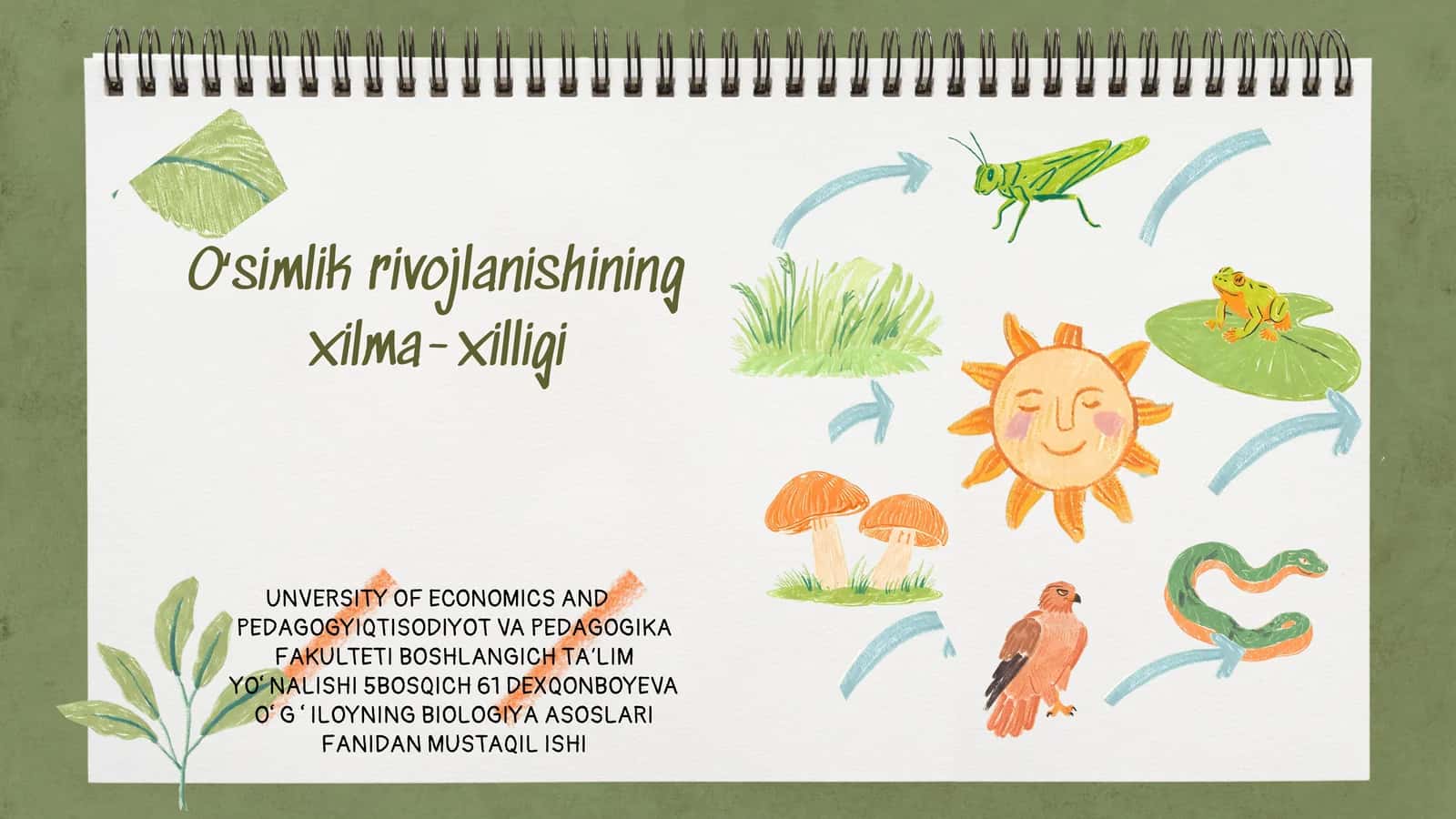 Oʻsimlik rivojlanishining xilma-xilligi