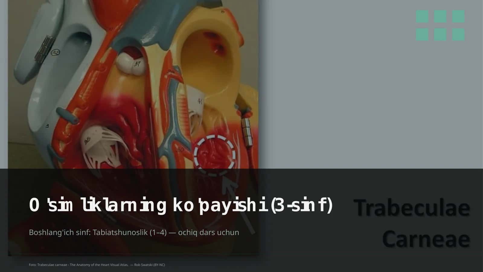 O'simliklarning ko'payishi (3-sinf)