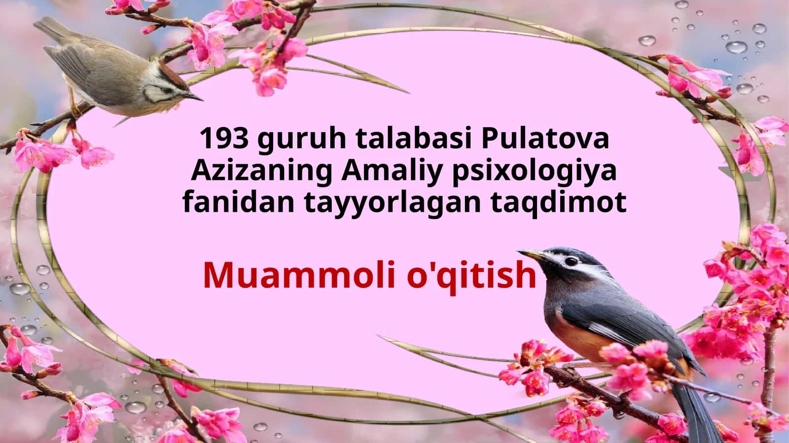 Muammoli o'qitish