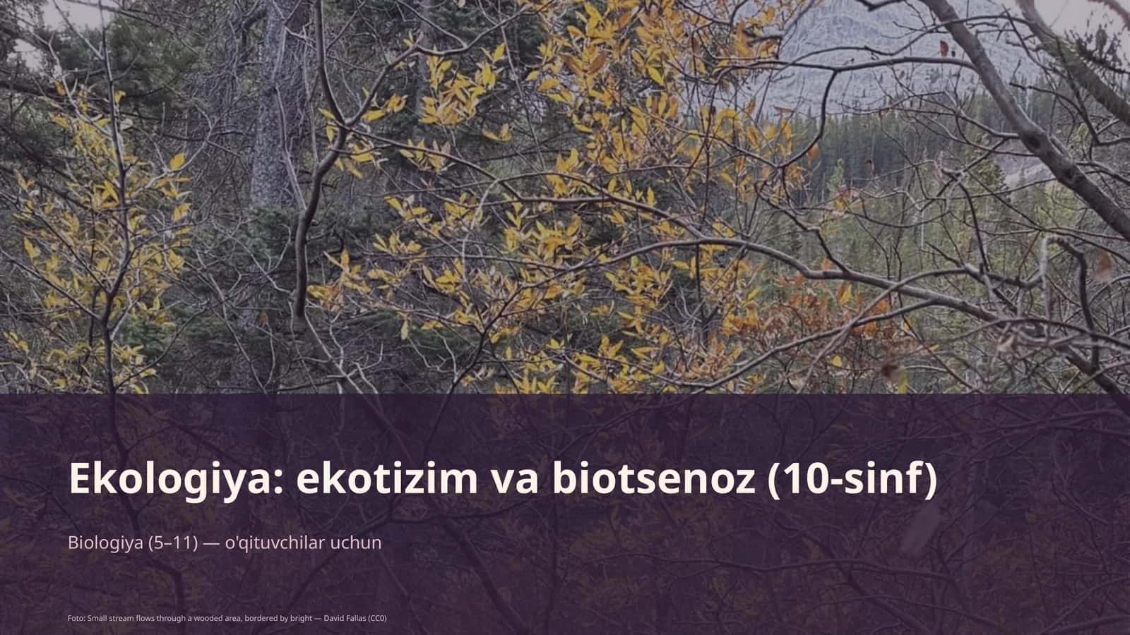 Ekologiya: ekotizim va biotsenoz (10-sinf)