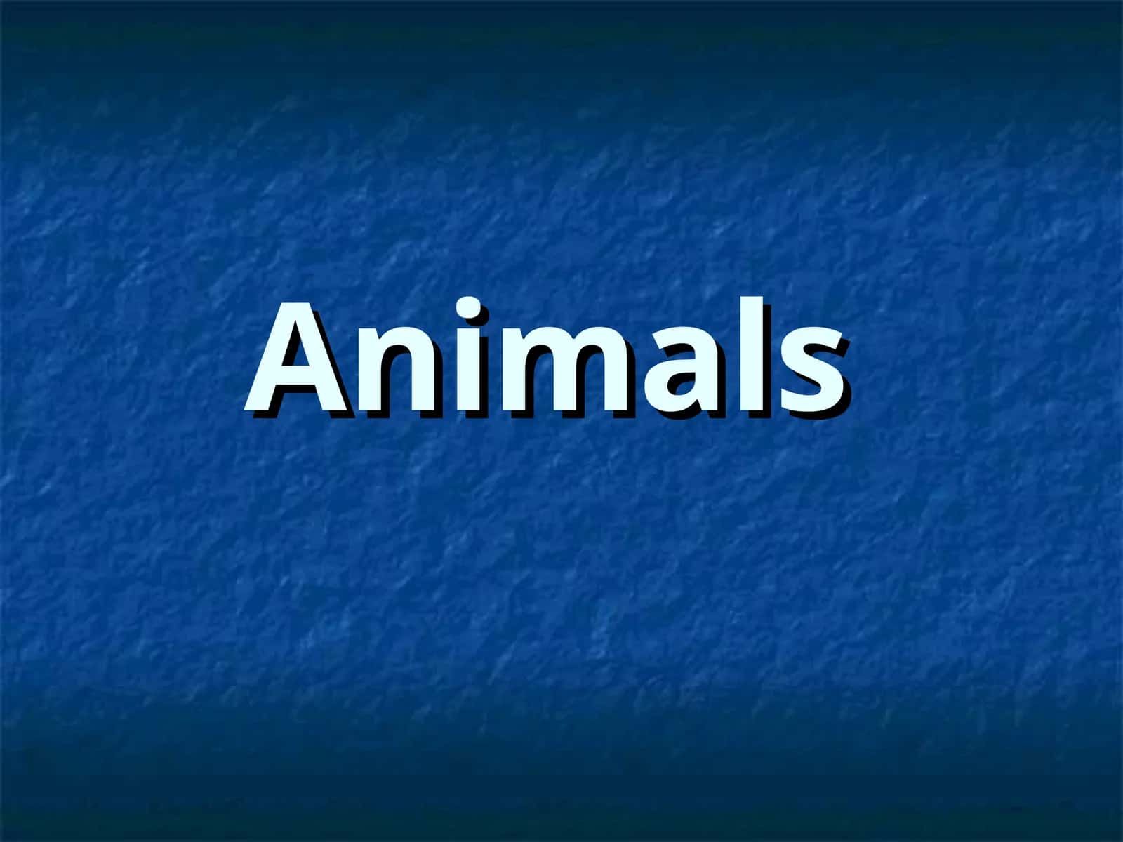 Animals