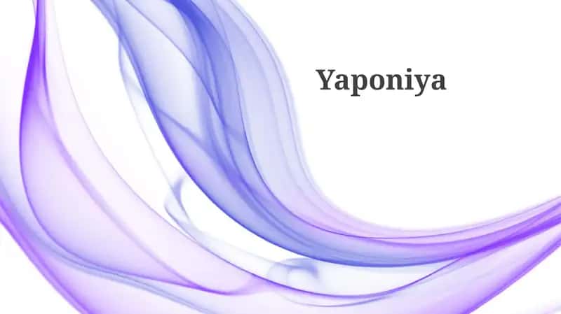 Yaponiya