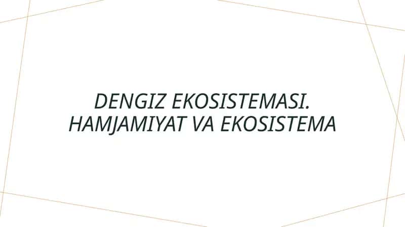 Dengizekosistemasi.Hamjamiyatvaekosistema