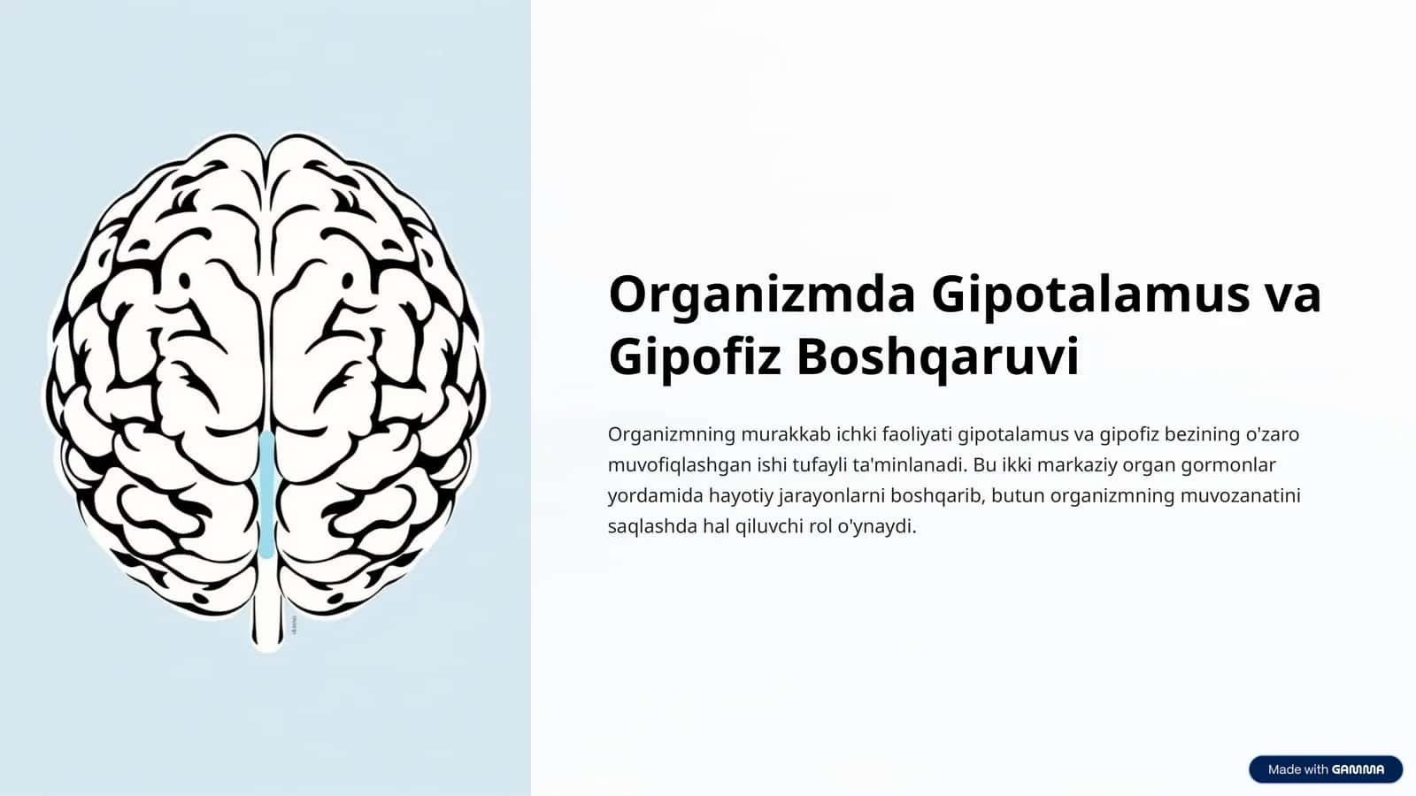 Organizmda Gipotalamus va Gipofiz Boshqaruvi