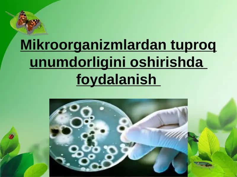 Mikroorganizmlardan tuproq unumdorligini oshirishda  foydalanish