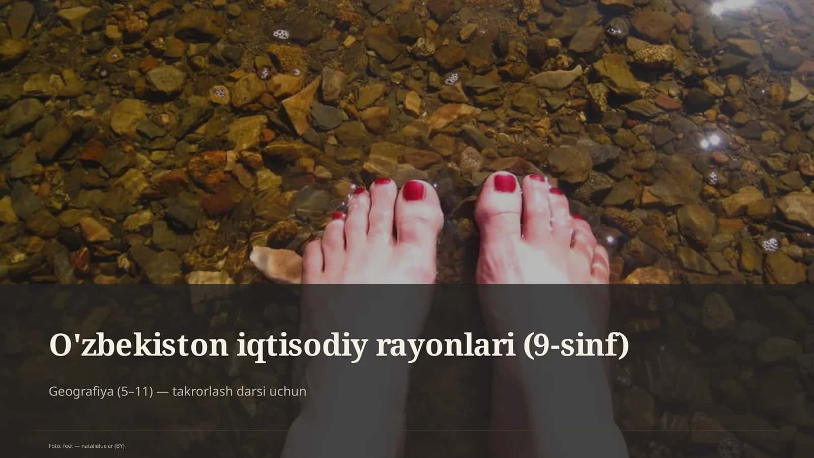 O'zbekiston iqtisodiy rayonlari (9-sinf)