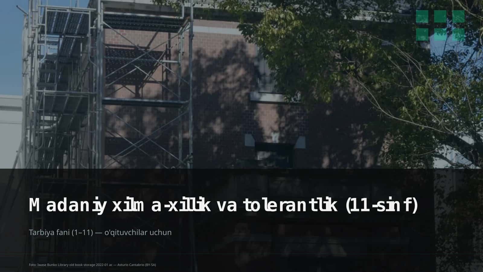 Madaniy xilma-xillik va tolerantlik (11-sinf)
