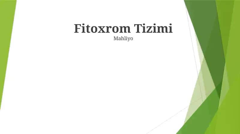 Fitoxrom Tizimi