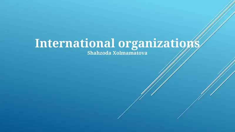 International organizations