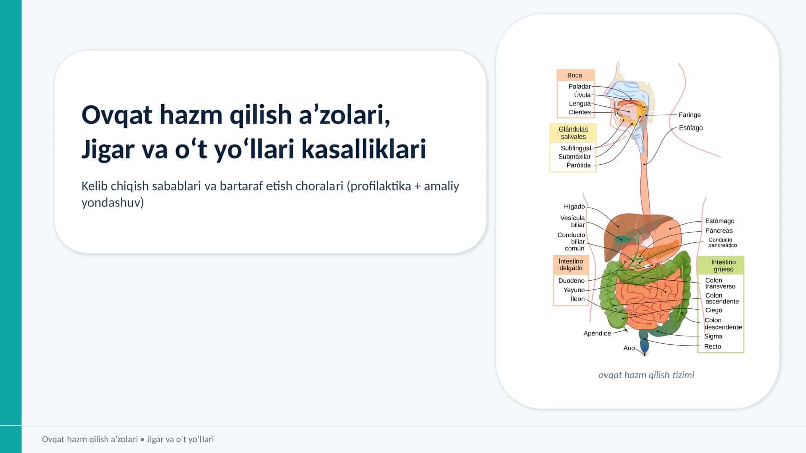 Ovqat hazm qilish a’zolari, Jigar va o‘t yo‘llari kasalliklari