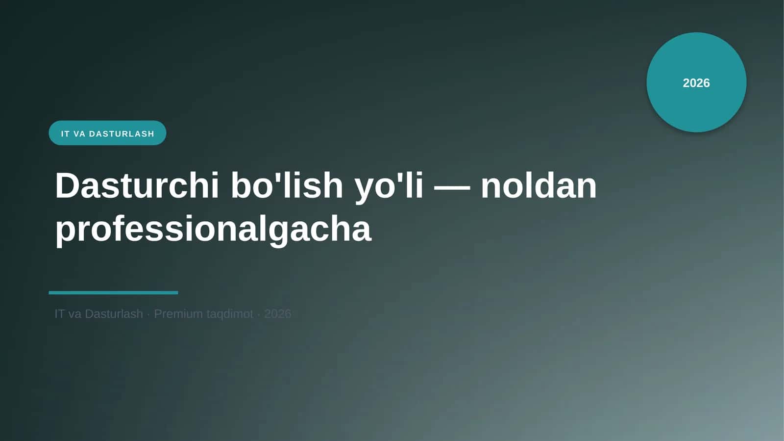 Dasturchi bo'lish yo'li — noldan professionalgacha