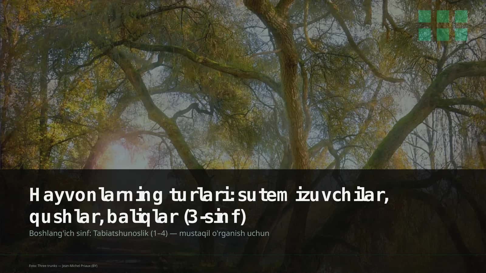 Hayvonlarning turlari: sutemizuvchilar, qushlar, baliqlar (3-sinf)