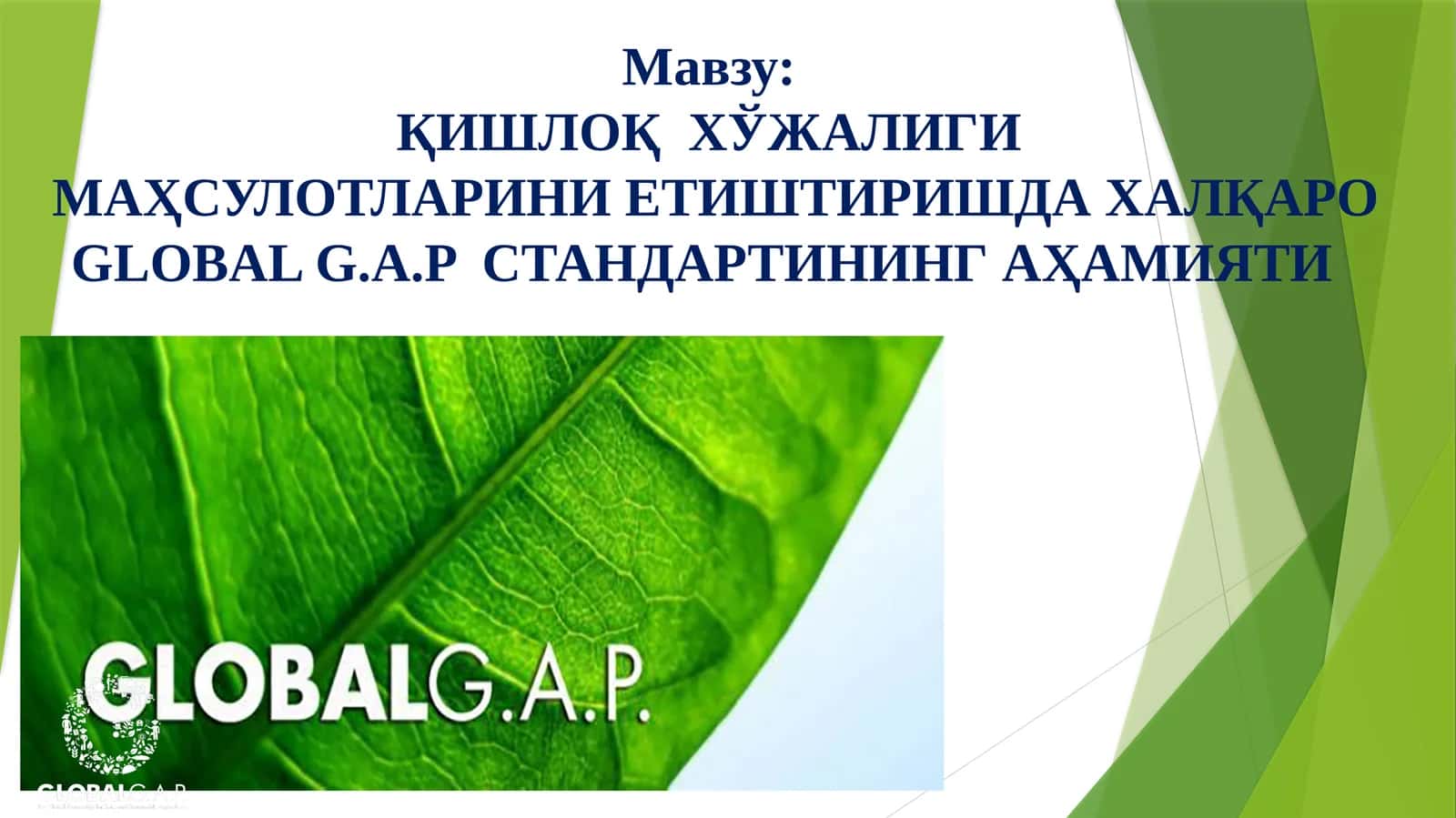 ҚИШЛОҚ  ХЎЖАЛИГИ МАҲСУЛОТЛАРИНИ ЕТИШТИРИШДА ХАЛҚАРО GLOBAL G.A.P  СТАНДАРТИНИНГ АҲАМИЯТИ