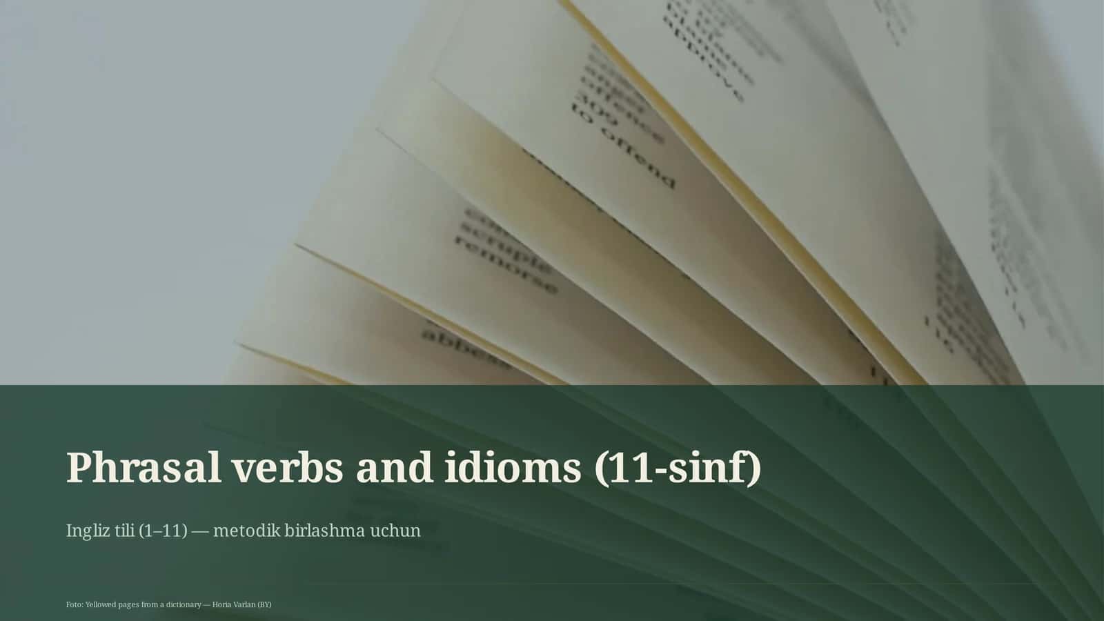 Phrasal verbs and idioms (11-sinf)