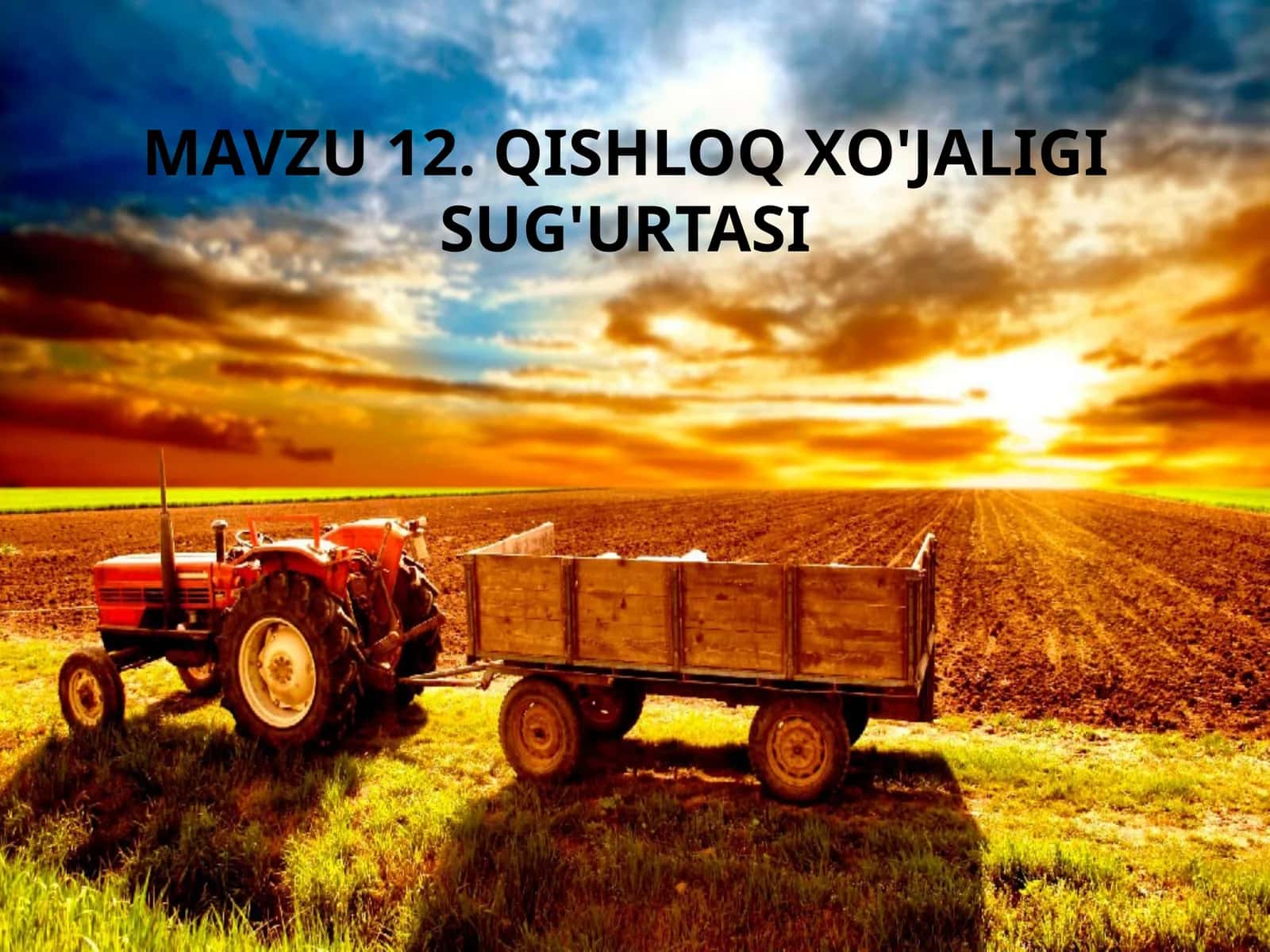 Qishloq xo'jaligi sug'urtasi