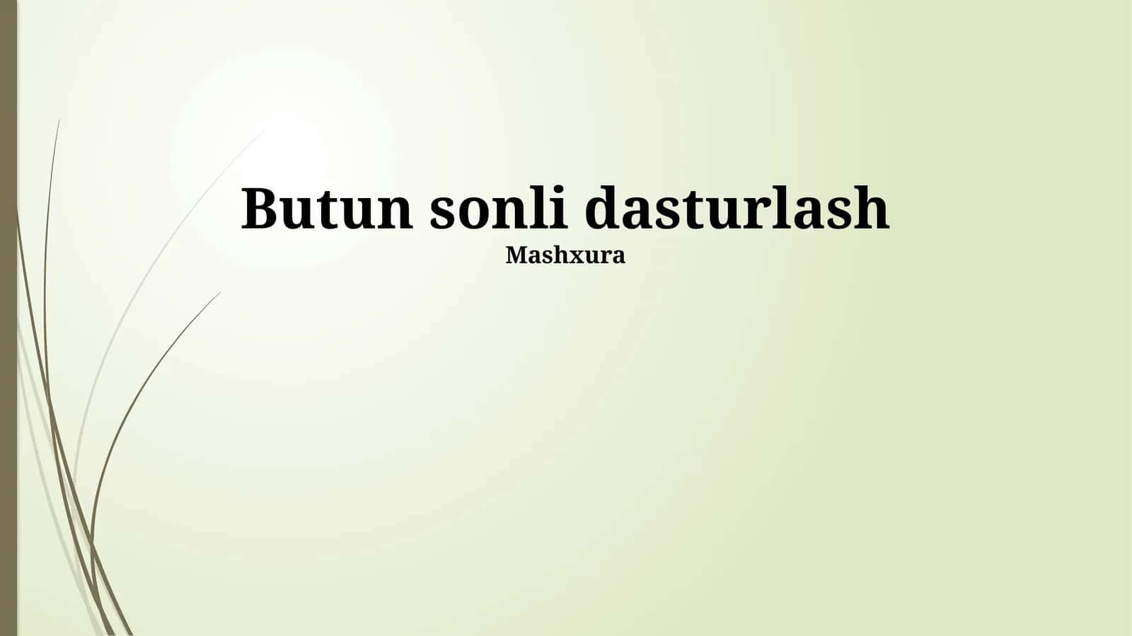 Butun Sonli Dasturlash Usullari