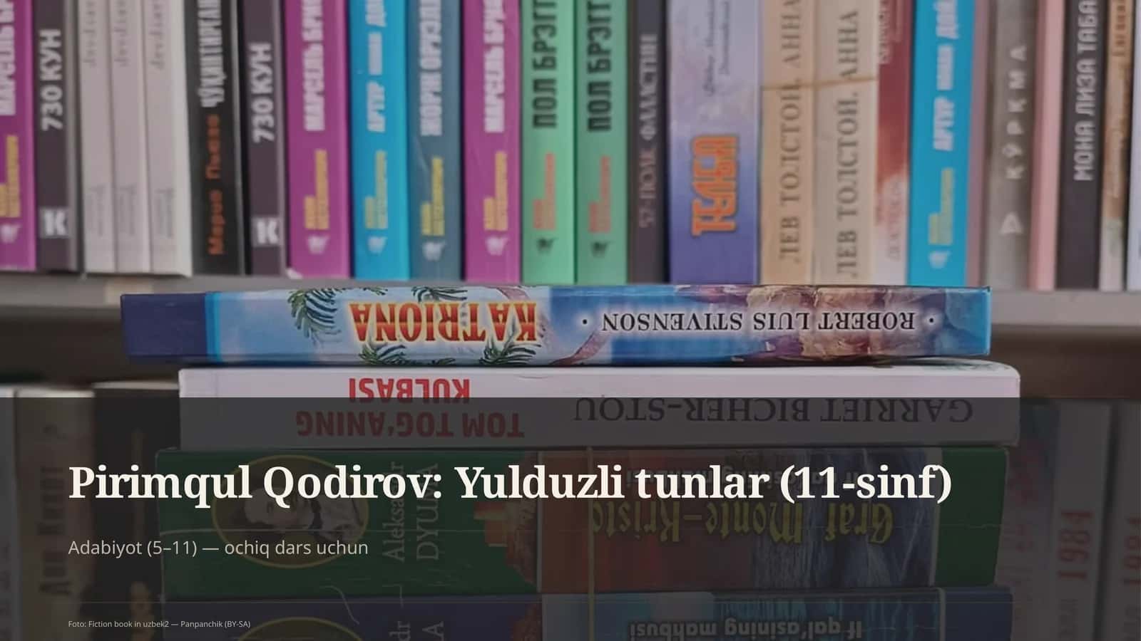 Yulduzli tunlar (11-sinf)