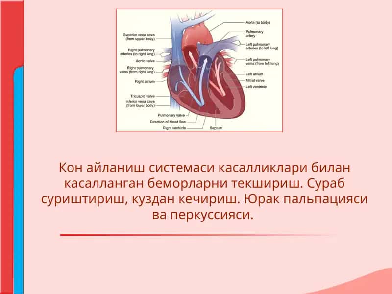 Кон айланиш системаси касалликлари билан касалланган беморларни текшириш. Сураб суриштириш, куздан кечириш. Юрак пальпацияси ва перкуссияси.