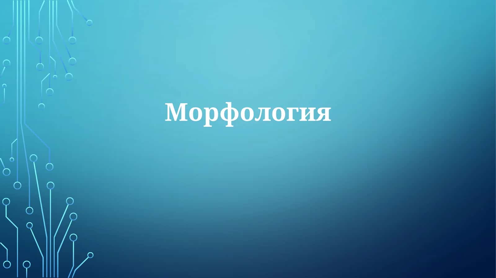 Морфология
