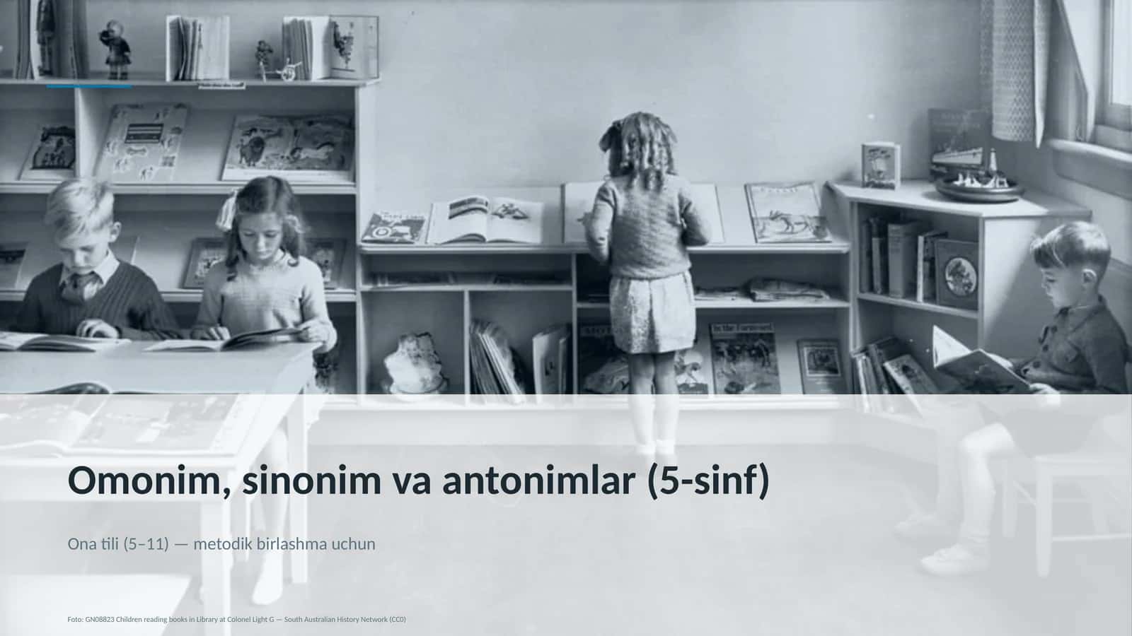 Omonim, sinonim va antonimlar (5-sinf)