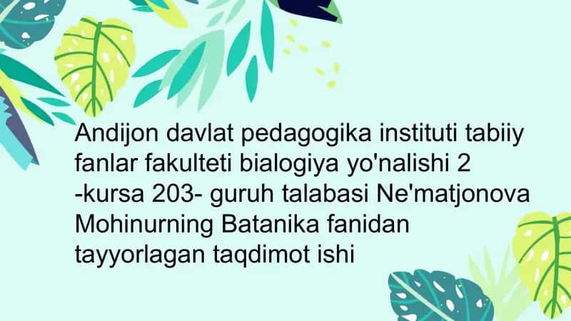 Viruslarning sistematikasi, tuzulishi va ahamiyati