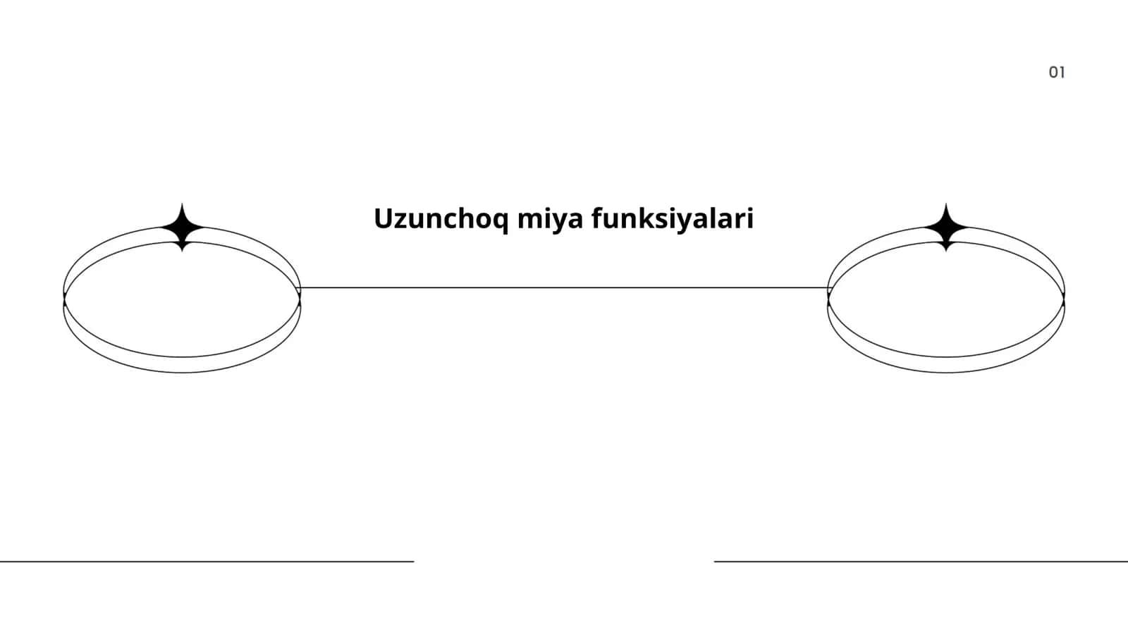 Uzunchoq miya funksiyalari