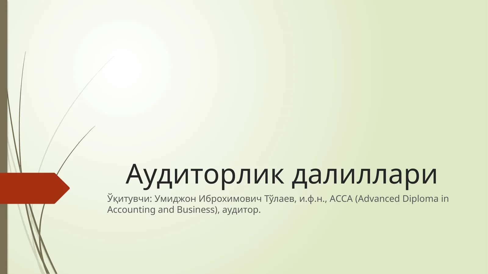 Аудиторликдалиллари