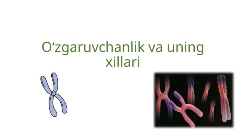O‘zgaruvchanlik va uning xillari
