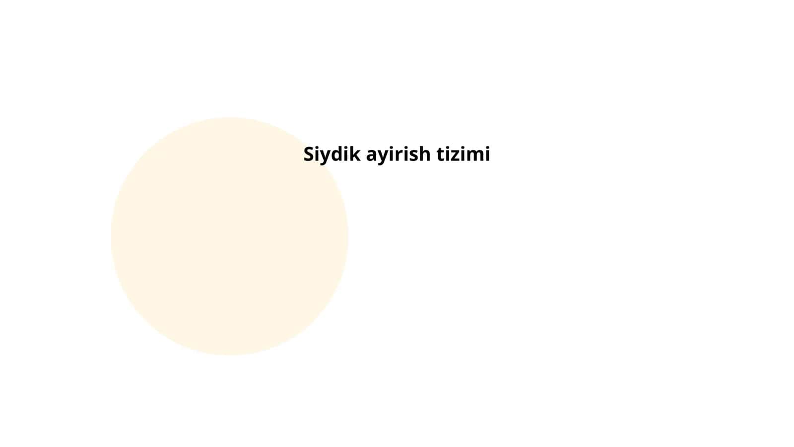 Siydik Ajratish Tizimi