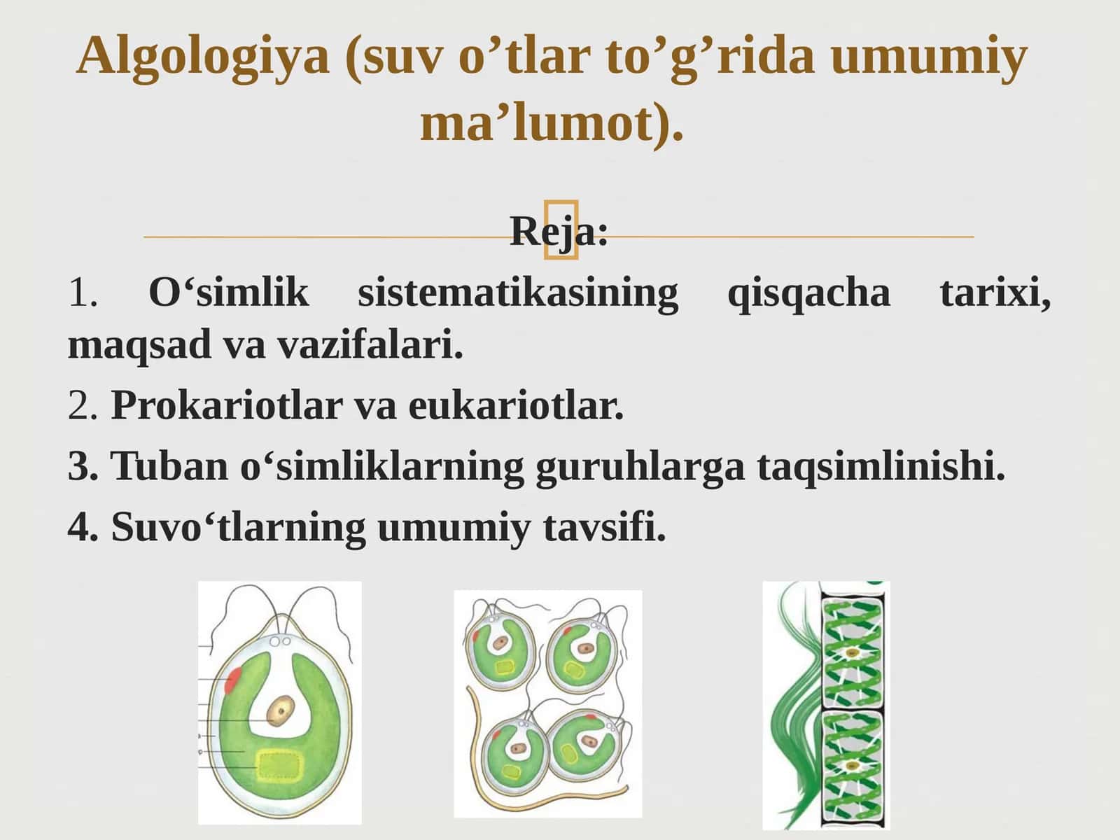 Algologiya(suvo’tlarto’g’ridaumumiyma’lumot)