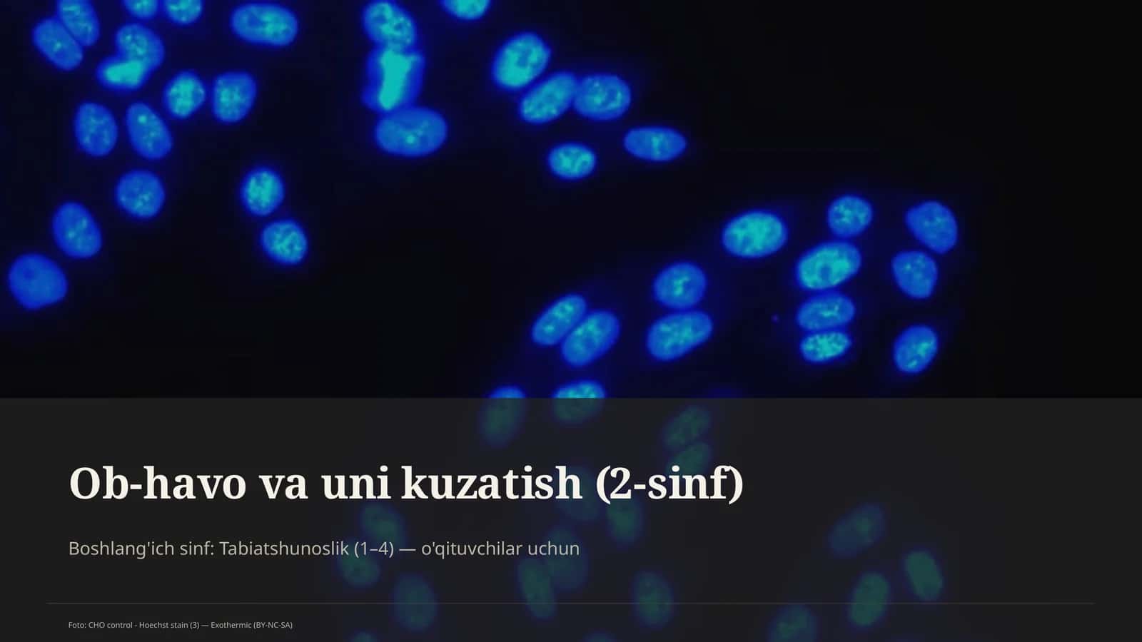 Ob-havo va uni kuzatish (2-sinf)