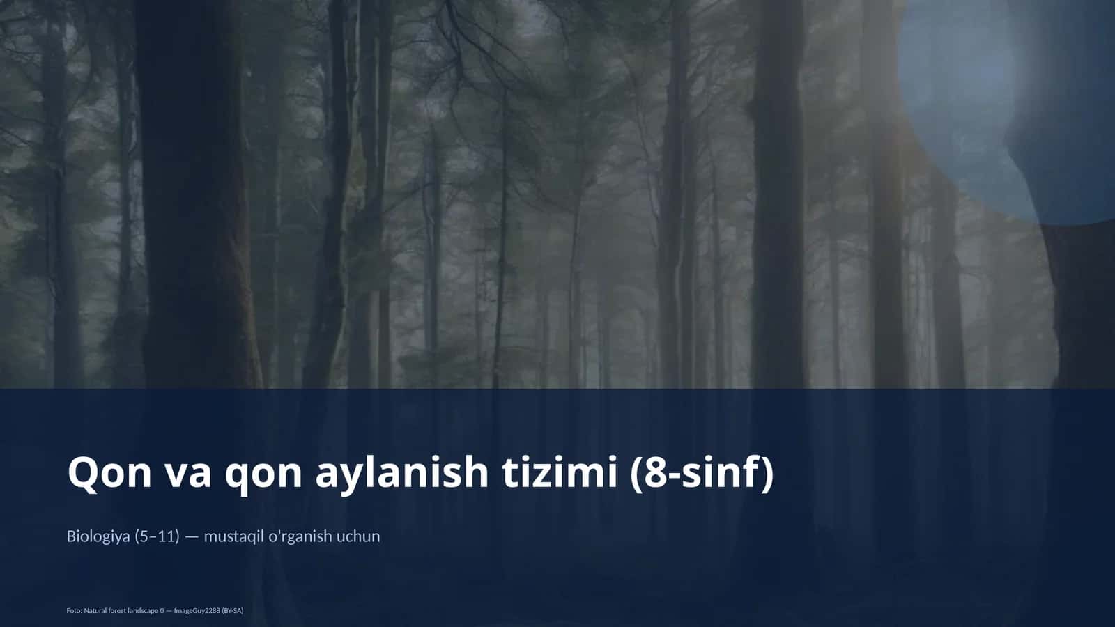 Qon va qon aylanish tizimi (8-sinf)