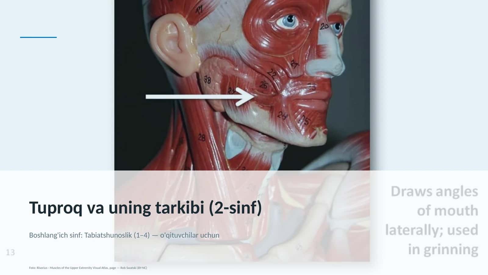 Tuproq va uning tarkibi (2-sinf)